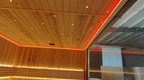 Long integrated wet-dry sauna with independent shower area, complete electric temperature control heating system, personalized layout customization for homestays and clubs, suitable for indoor and courtyard installation
