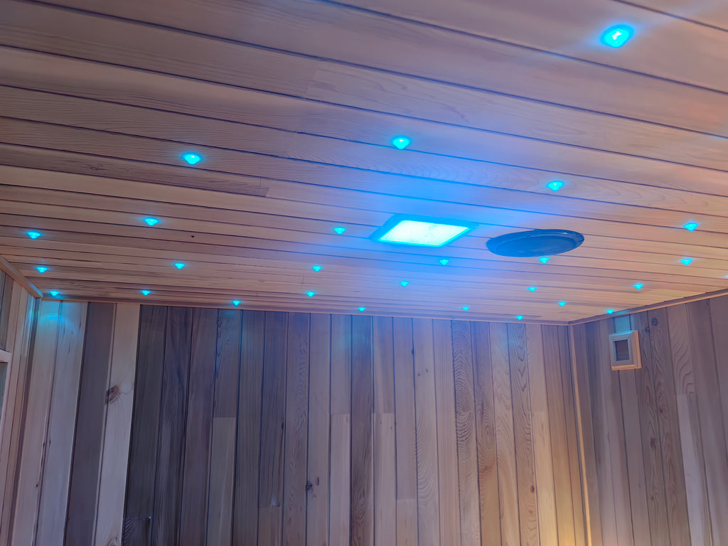 Integrated Sauna with Shower, Electric Dry Steam, Home Villa Wet Dry Use, Custom Size