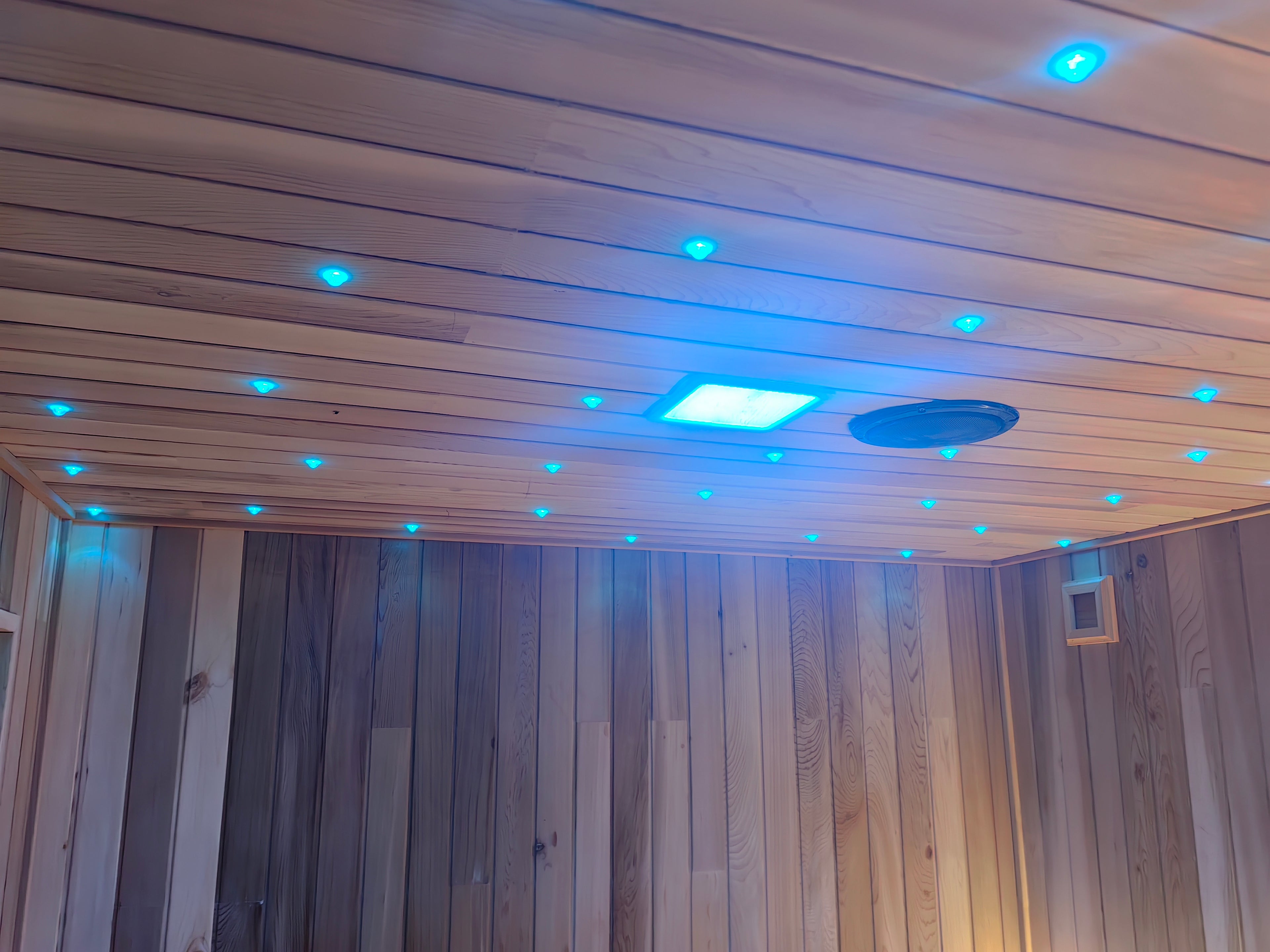 Integrated Sauna with Shower, Electric Dry Steam, Home Villa Wet Dry Use, Custom Size