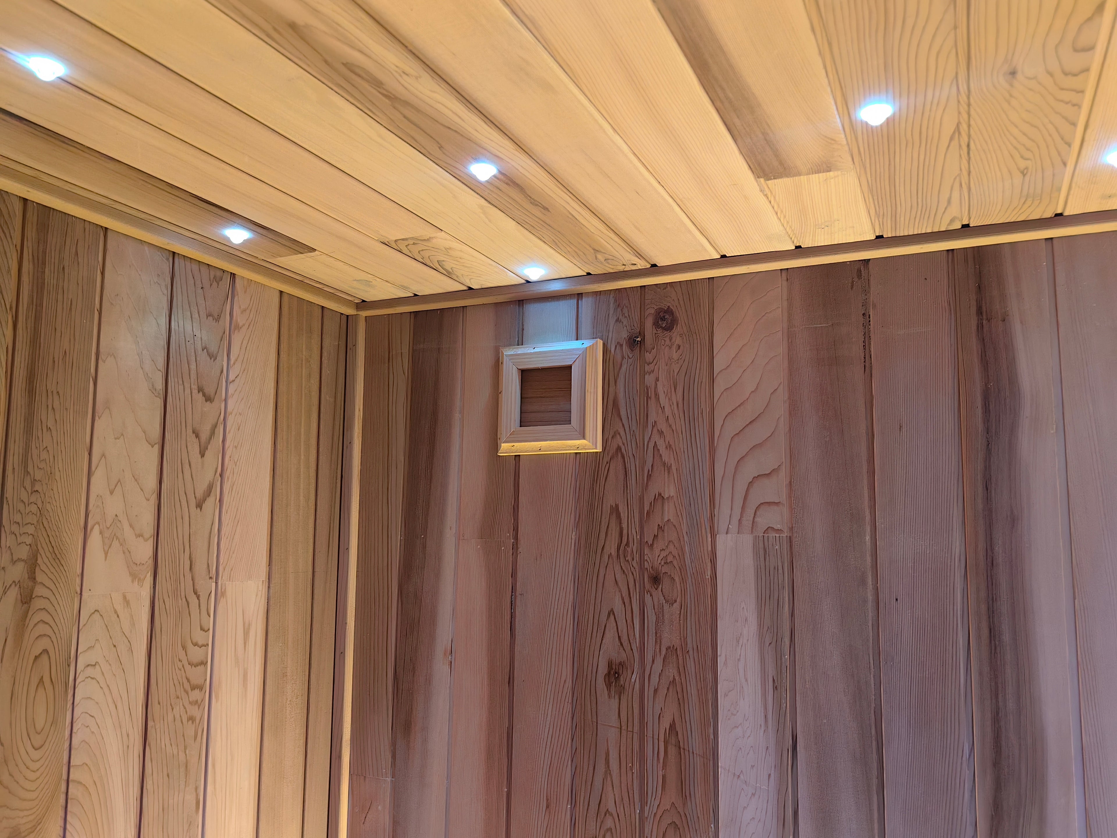 Integrated Sauna with Shower, Electric Dry Steam, Home Villa Wet Dry Use, Custom Size