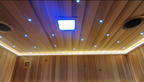 Outdoor luxury modern far - infrared sauna room, equipped with a shower room, waterproof. It is heated by an electric furnace with sauna stones and controlled by a control panel, suitable for use in the backyard garden.